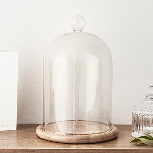 Campana de Cristal Alta 21cm con Base de Bambú de Lights4fun