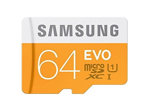 Samsung Evo MB-MP64DA/EU - Tarjeta de memoria micro SDXC de 64 GB...