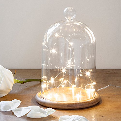 Campana de Cristal Alta 21cm con Base de Bambú y Micro LED...